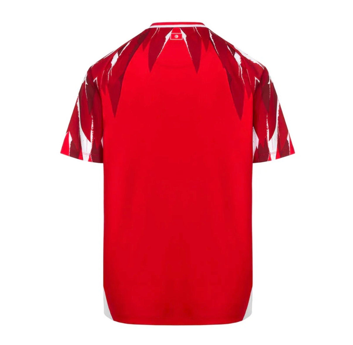 Tunisie Domicile 2026 Coupe Du Monde