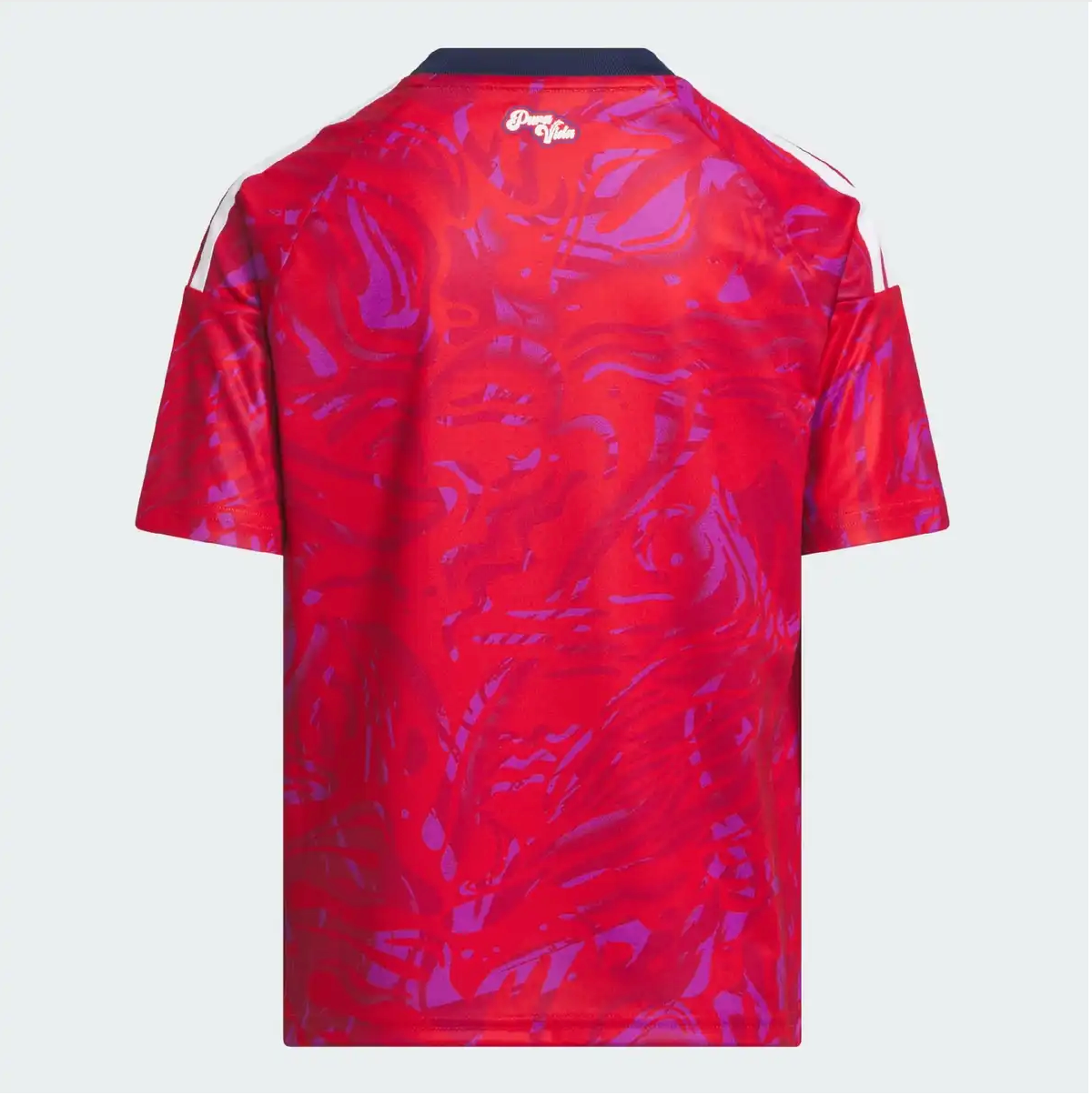 Costa Rica Domicile 2026 Coupe Du Monde