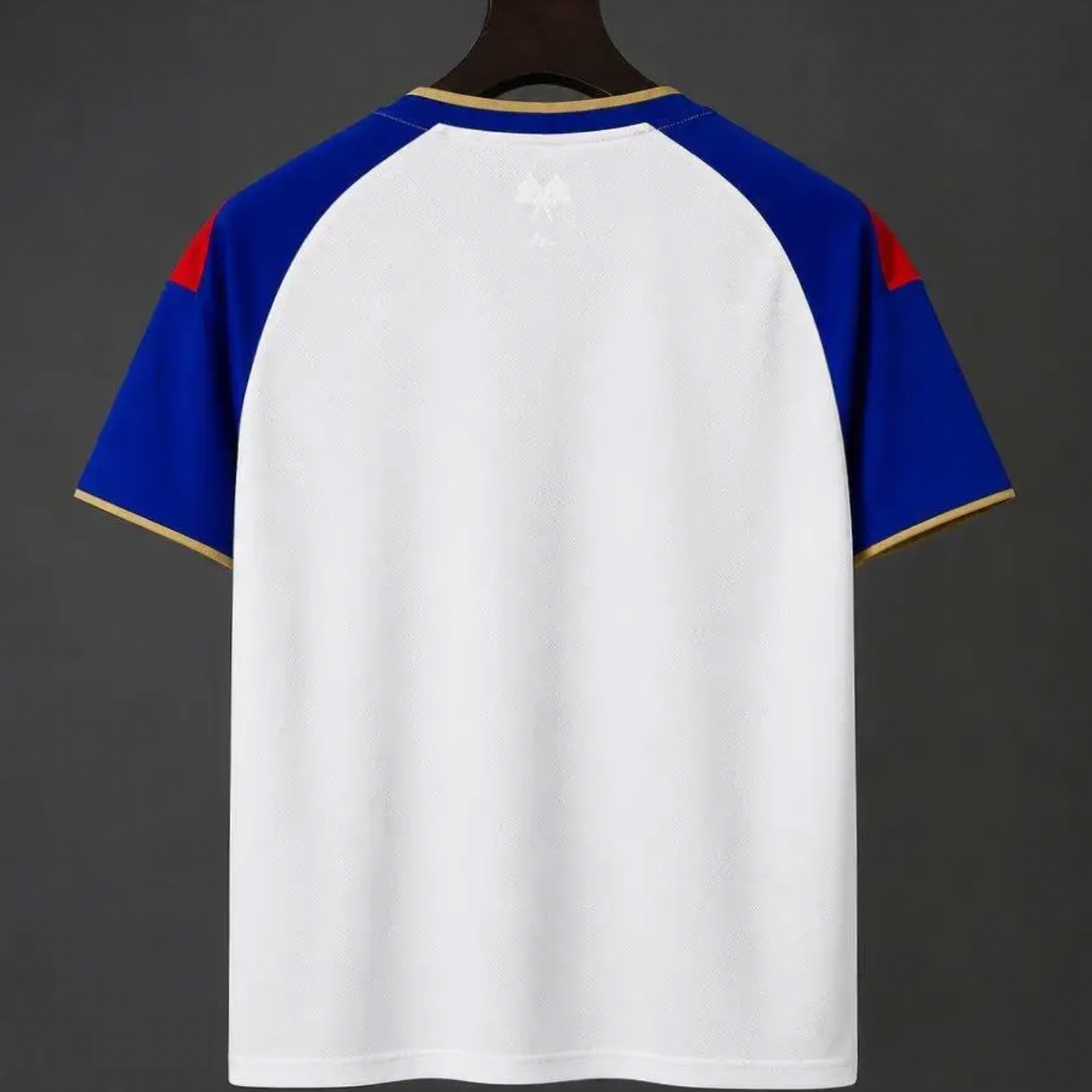 OL Lyon Domicile 2026/2027