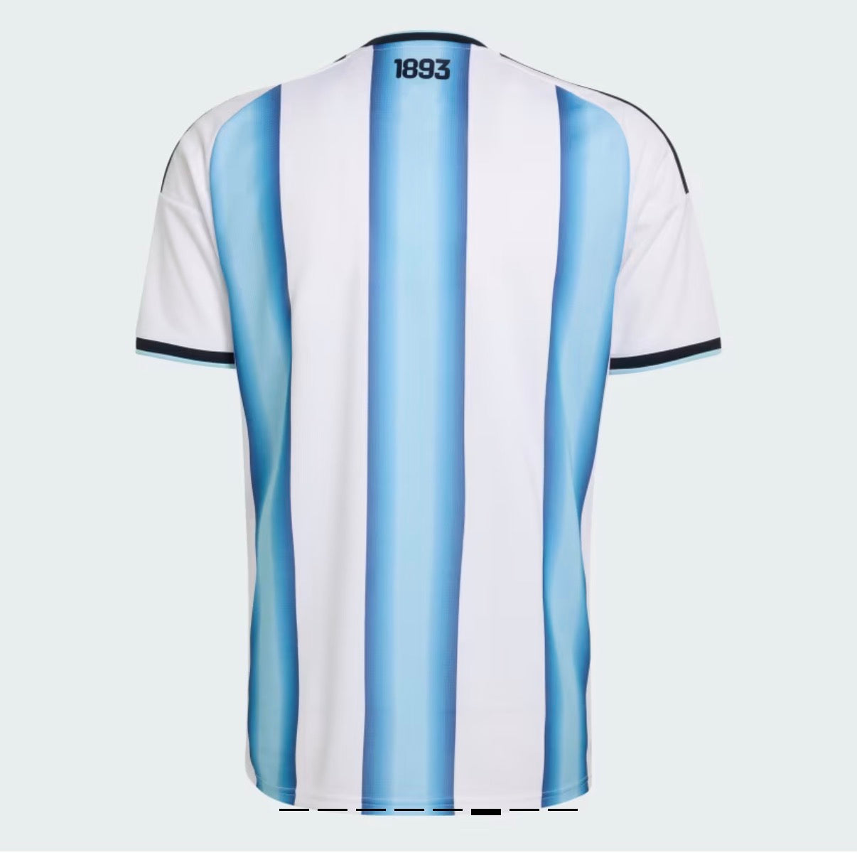 Argentine Domicile 2026