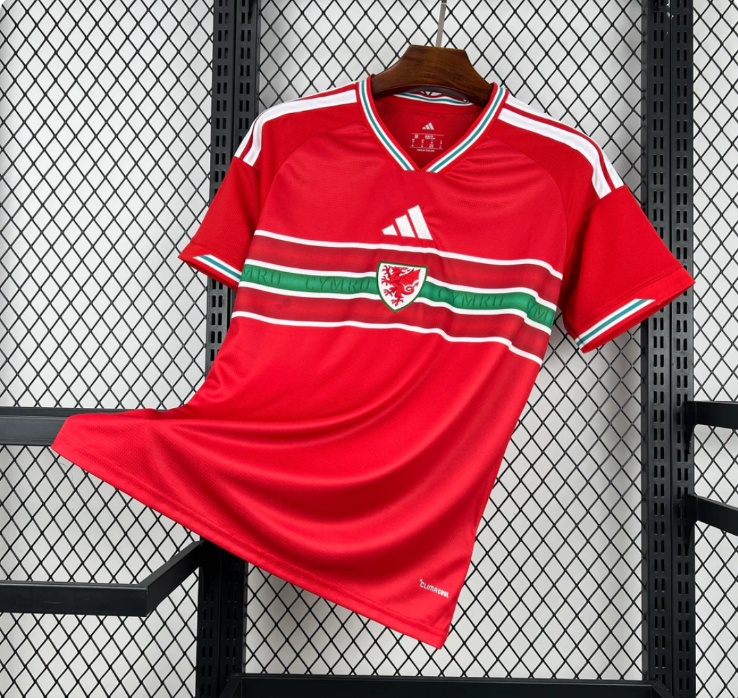 Pays De Galle Domicile 2026 Coupe Du Monde