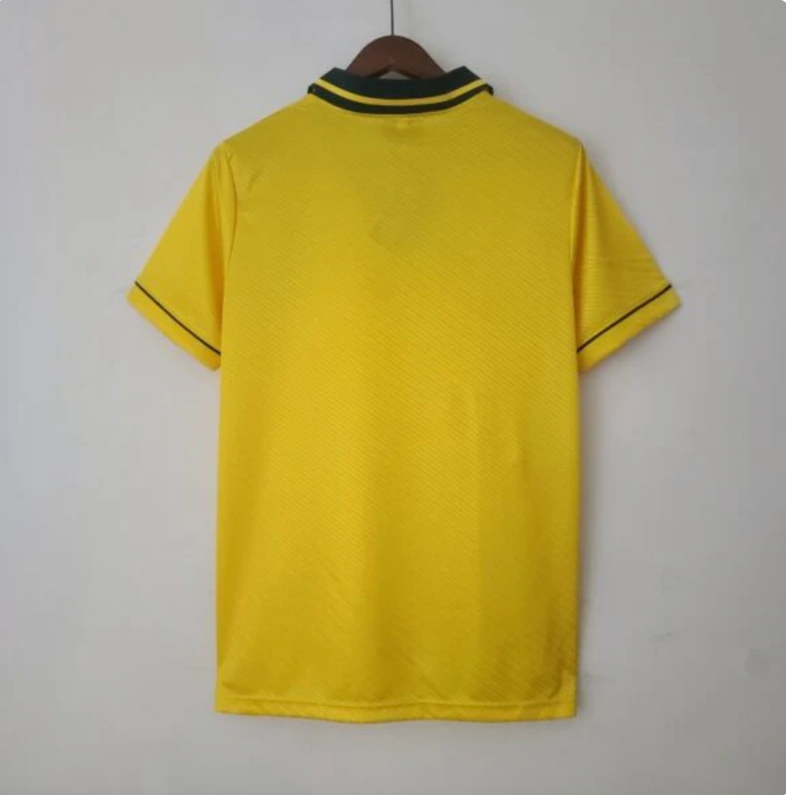 Brésil Domicile 1993/1994