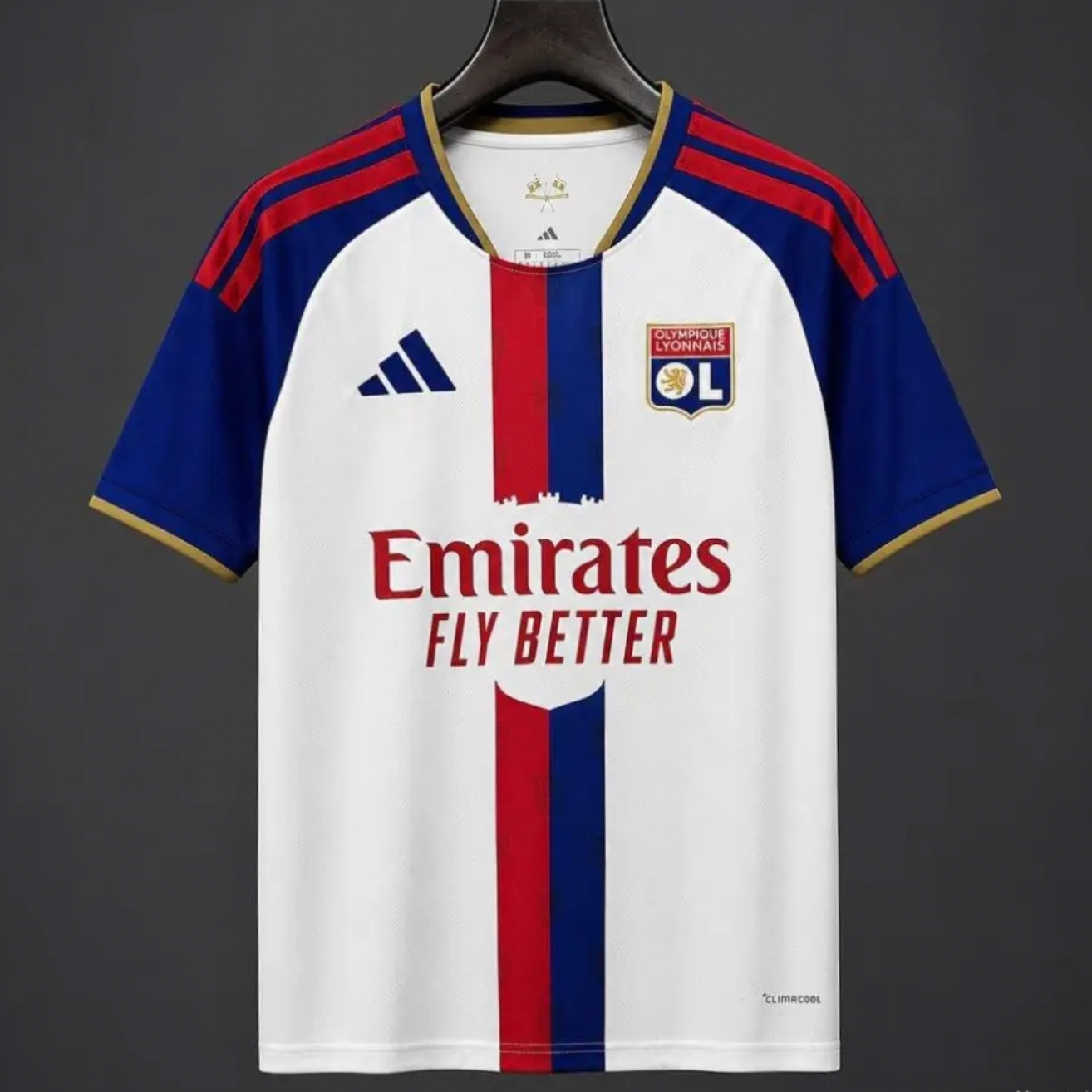 OL Lyon Domicile 2026/2027