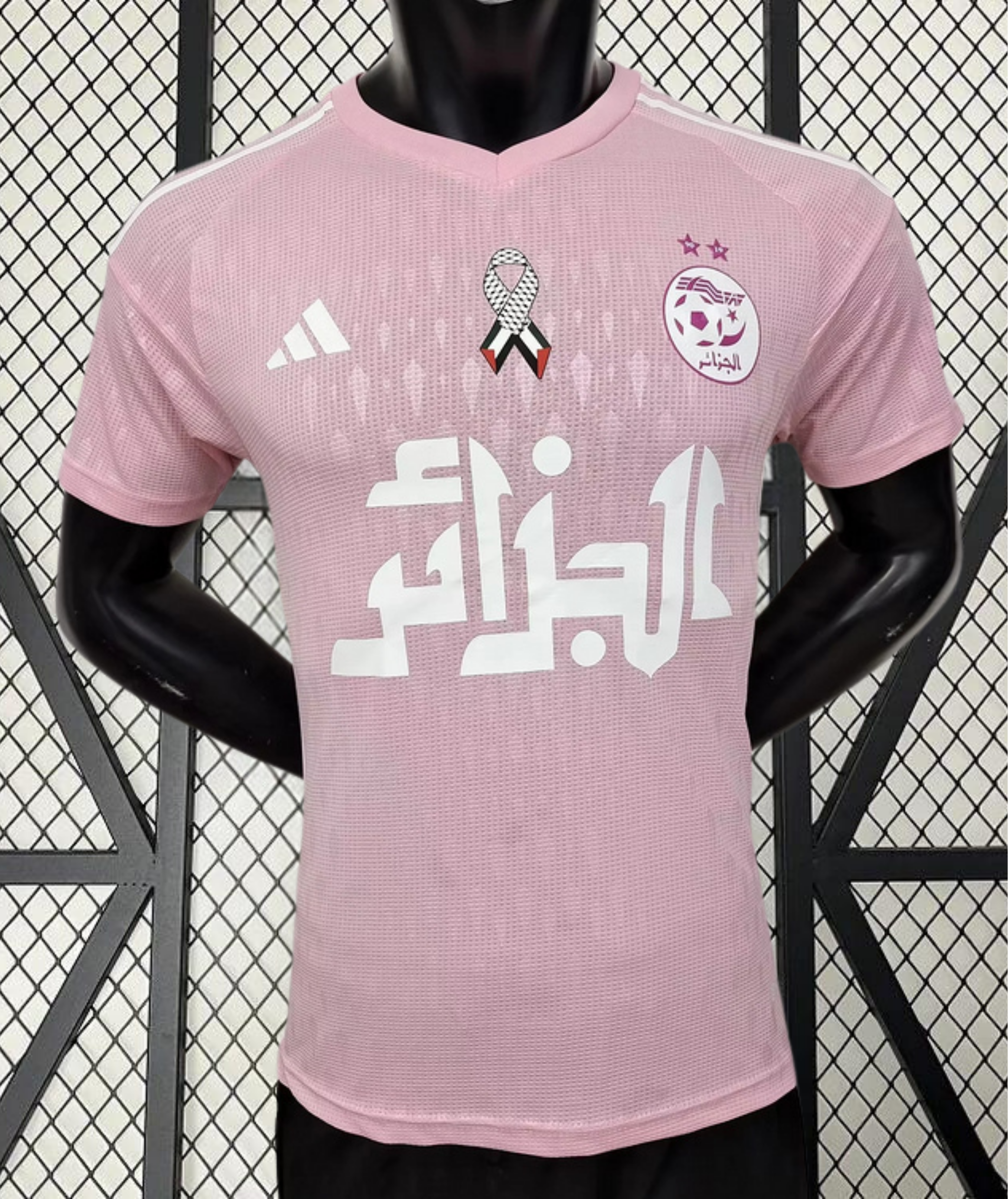 Algérie Concept Dz Palestine Rose 2024
