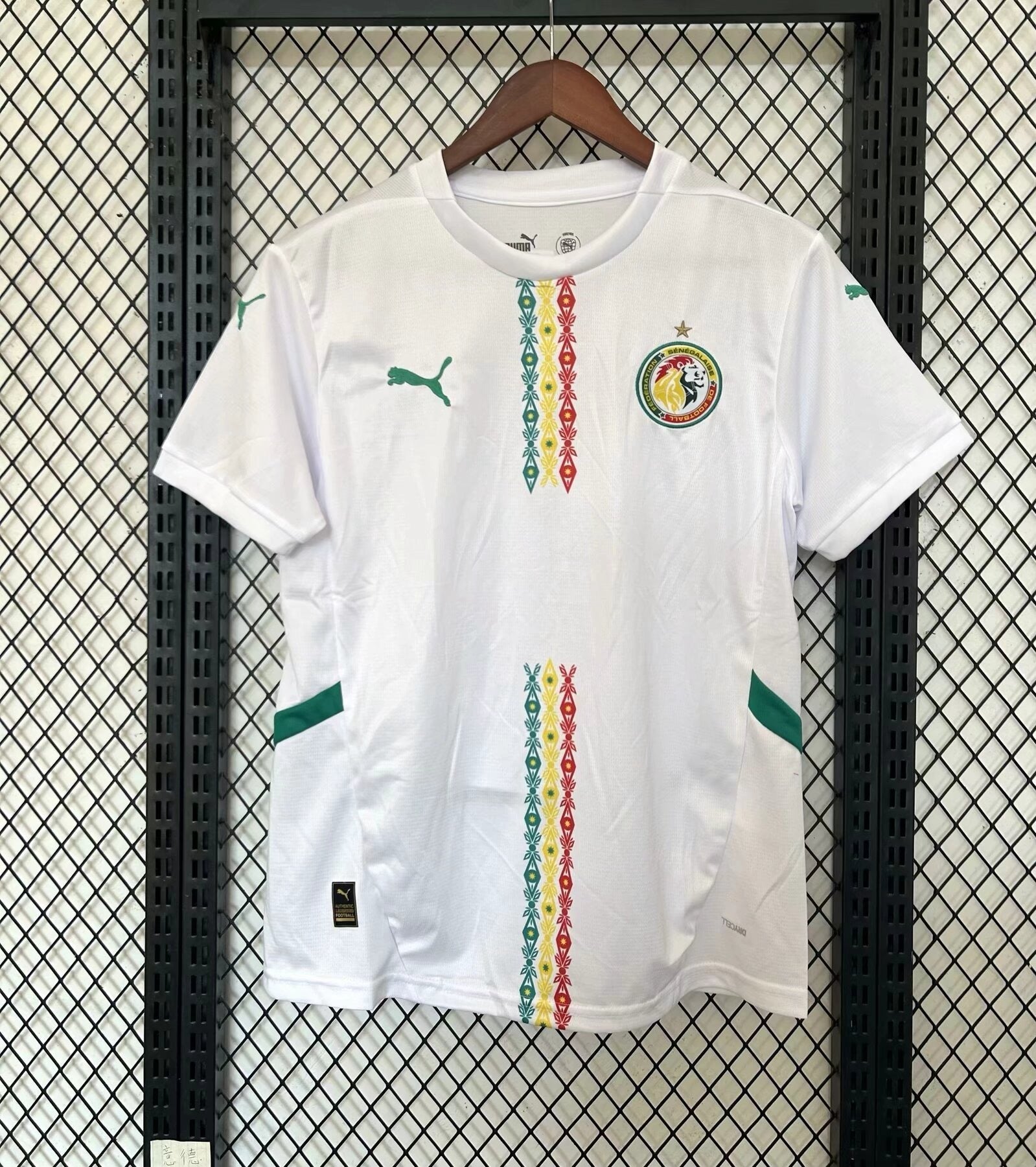 Sénégal Domicile 2025